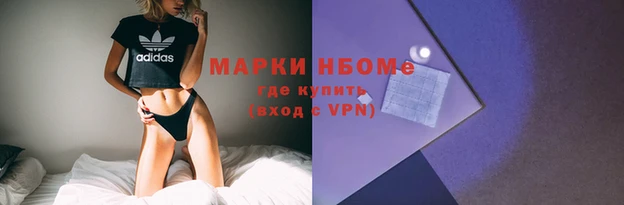 сатива Армянск
